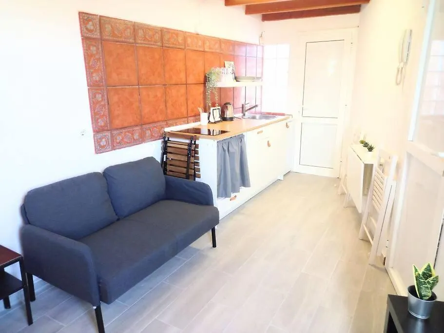 Estudio Don Antonio En El Centro De La Laguna 拉拉古纳 西班牙